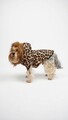 Hanorac pentru câini, Paws & Whiskers, Leopar Coat, Multicolor