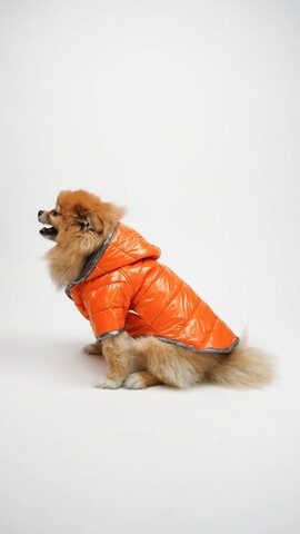 Hanorac pentru câini, Paws & Whiskers, Moncler Coat, Portocaliu