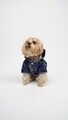 Hanorac pentru câini, Paws & Whiskers, Moncler Coat, Indigo