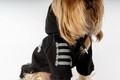 Hanorac pentru câini, Paws & Whiskers, Danger Hoodie, Negru