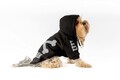 Hanorac pentru câini, Paws & Whiskers, Danger Hoodie, Negru