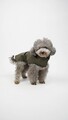 Hanorac pentru câini, Paws & Whiskers, Shoft Shell Raincoat, Kaki