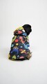 Hanorac pentru câini, Paws & Whiskers, Cosmic Raincoat, Multicolor