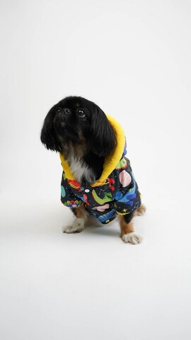 Hanorac pentru câini, Paws & Whiskers, Cosmic Raincoat, Multicolor