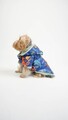 Hanorac pentru câini, Paws & Whiskers, Ocean Raincoat, Multicolor