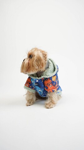 Hanorac pentru câini, Paws & Whiskers, Ocean Raincoat, Multicolor