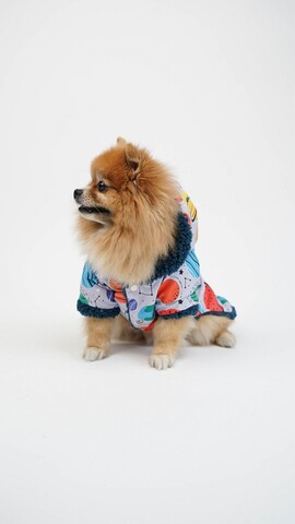 Hanorac pentru câini, Paws & Whiskers, Galaxy Raincoat, Multicolor