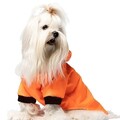 Hanorac pentru câini, Paws & Whiskers, Mebranlı Raincoat, Portocaliu