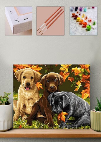 Pictura pe numere, Wallxpert, Artsylrbaskı15, Multicolor