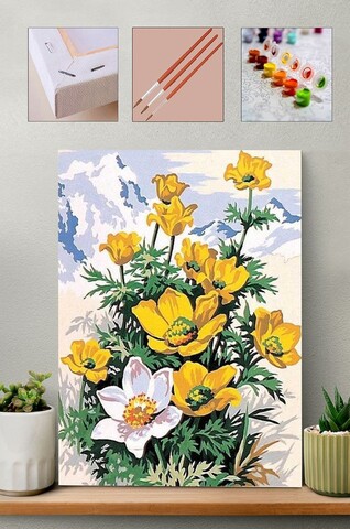 Pictura pe numere, Wallxpert, Artsylrbaskıb6, Multicolor