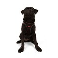 Ham pentru câini, Paws & Whiskers, Air-Mesh, Maro