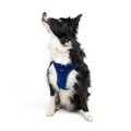 Ham pentru câini, Paws & Whiskers, Air-Mesh, Albastru