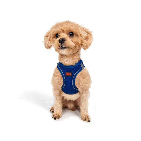 Ham pentru câini, Paws & Whiskers, Air-Mesh, Albastru