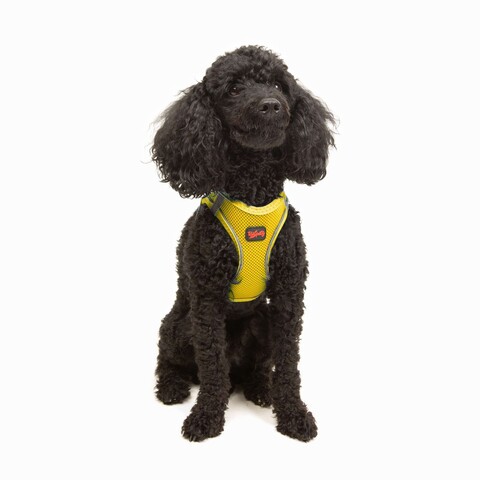 Ham pentru câini, Paws & Whiskers, Air-Mesh, Galben