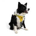 Ham pentru câini, Paws & Whiskers, Air-Mesh, Galben
