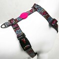 Ham pentru câini, Paws & Whiskers, Graffiti, Multicolor