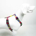Ham pentru câini, Paws & Whiskers, Spirit, Multicolor