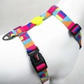 Ham pentru câini, Paws & Whiskers, Spirit, Multicolor