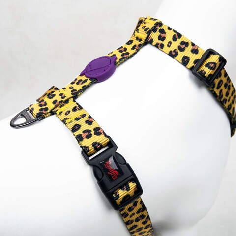 Ham pentru câini, Paws & Whiskers, Leopard, Multicolor