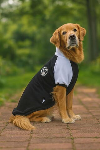 Hanorac pentru câini, Paws & Whiskers, Blackballsweat, Negru