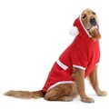 Hanorac pentru câini, Paws & Whiskers, Christmassweat, Rosu