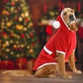 Hanorac pentru câini, Paws & Whiskers, Christmassweat, Rosu
