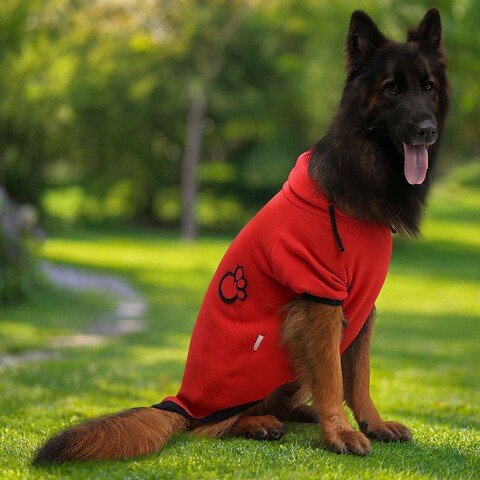 Hanorac pentru câini, Paws & Whiskers, Kırmızıpatisweat, Rosu