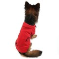 Hanorac pentru câini, Paws & Whiskers, Kırmızıpatisweat, Rosu