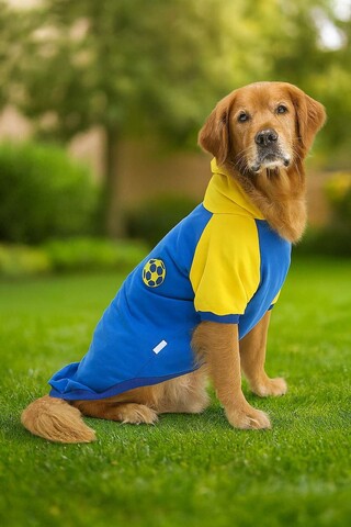 Hanorac pentru câini, Paws & Whiskers, Navyballssweat, Albastru/Galben