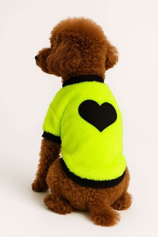 Hanorac pentru câini, Paws & Whiskers, Neongreensweat, Verde