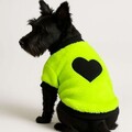 Hanorac pentru câini, Paws & Whiskers, Neongreensweat, Verde