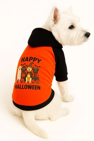 Hanorac pentru câini, Paws & Whiskers, Orangehappyhall, Portocaliu