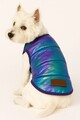 Hanorac pentru câini, Paws & Whiskers, Metalicpurplejacket, Multicolor