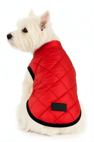 Hanorac pentru câini, Paws & Whiskers, Redjacket, Rosu
