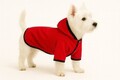 Hanorac pentru câini, Paws & Whiskers, Sofshellredraincoat, Rosu