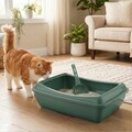 Litiera pentru pisici, Paws & Whiskers, 5091-4, Verde