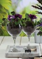 Set de pahare de vin, Hermia, 990LAV1203, Transparent
