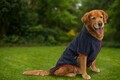 Hanorac pentru câini, Paws & Whiskers, Navyraincoat, Albastru navy
