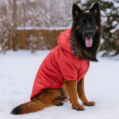 Hanorac pentru câini, Paws & Whiskers, Redcoat, Rosu