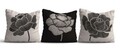Set fete de perna, Asr_plw25, Multicolor