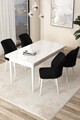 Set masă și scaune (5 bucăți), Hanah Home, Arp, Alb/Negru