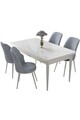 Set masă și scaune (5 bucăți), Hanah Home, Nil, Alb/Gri