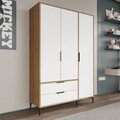 Dulap pentru haine, Hanah Home, Aden Drawers 120, 120x192x45 cm, Stejar / Alb