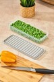 Set recipiente depozitare, Hermia, 452PTR1156, Crem