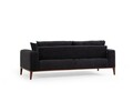 Canapea extensibila 3 locuri, Atelier del Sofa, 560ARE2363, Antracit