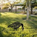 Obiect decorativ de grădină, Goose 02, 44x50 cm, Negru