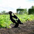 Obiect decorativ de grădină, Bird 03, 37x23 cm, Negru