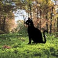 Obiect decorativ de grădină, Cat 02, 38x20 cm, Negru