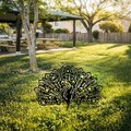 Obiect decorativ de grădină, Peacock 01, 53x61 cm, Negru