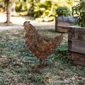 Obiect decorativ de grădină, Chicken -A 01, 64x42 cm, Multicolor
